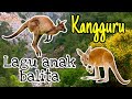 Lagu anak balita | kangguru dan lain nya | lagu anak anak | kumpulan lagu hewan anak | versi terbaru