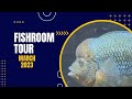 Fishroom Tour March 2023