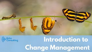 Webinar: Change Management | Business Change and Progression | Technology Automation