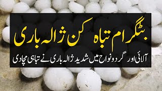 Giant Hailstorm destroyed orchards and Crops in KPK | Pakistan Weather Forecast