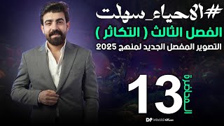 تصوير 2025 | الفصل الثالث | التكاثر في نبات زهري - اجزاء الزهرة كاملة (محاضرة 13) #يوسف_حاتم #احياء