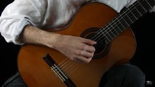 Ludovico Einaudi - I Giorni (Guitar Cover)