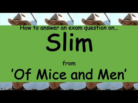 Why is slim important in the novel?