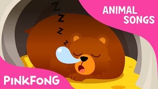 Hibernation Song | Animal Songs | PINKFONG Songs for Children