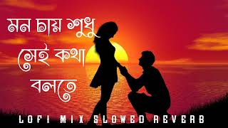 I Love You Title Track - Slowed + Reverb | bangla lofi remix | bengali lofi | bangla lofi songs