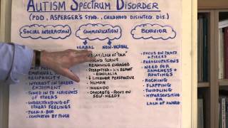 What Is Autism Spectrum Disorder?