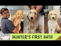 Our Puppy Hunter's First Bath At Home | 12 Weeks Old | Goldendoodle | Siva Sharan