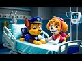 Paw Patrol The Mighty Movie | CHASE GOT SICK? What Happened!? - Very Sad Story - Rainbow 3