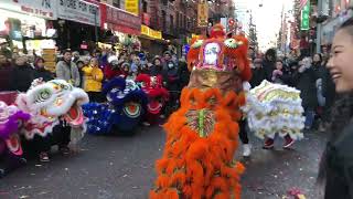 Brooklyn Lion Club- BLC Lion Dance Finale- NYC Chinatown Super Saturday CNY 2024 🦁🧨💥🐉