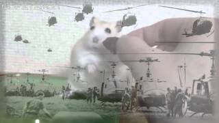 Hamster flashback War PTSD