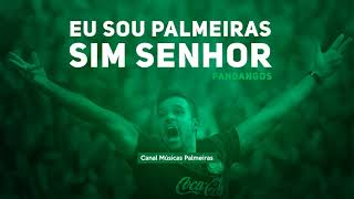 Eu Sou Palmeiras Sim Senhor - Funk do Palmeiras (MC Fandangos)