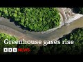 Greenhouse gases rising at record levels, UN says | BBC News