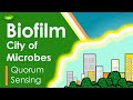 Biofilm | The city of Microbes | Microbiology | Bacteriology | Cell Biology | Basic Science Series |