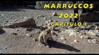 2022 Marruecos  Capítulo I