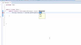 Java runtime environment (JRE) version