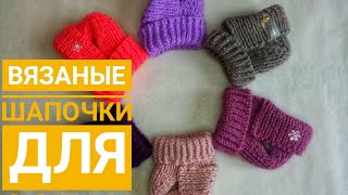 Шапочка для собак🐕 / МК как связать шапочку для собаки🐕