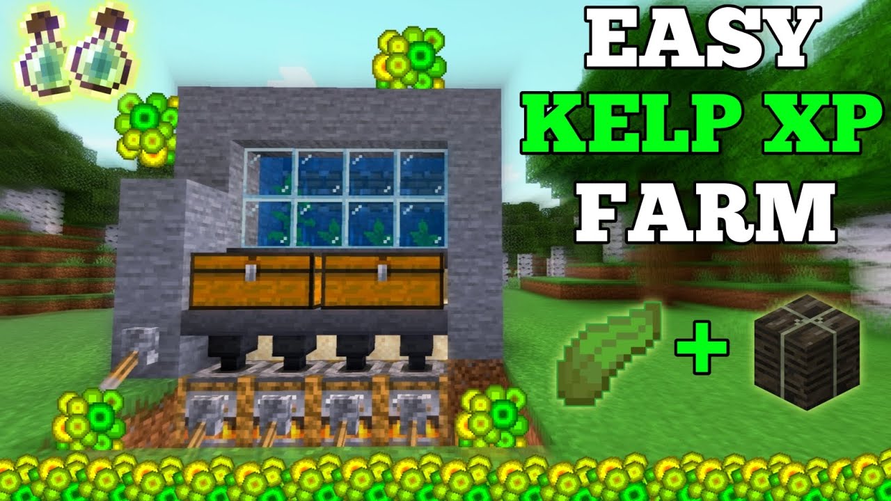 Minecraft 1 19 Easy Kelp Xp Farm Tutorial How To Make Easy Xp Farm