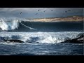 DOUBLE OVERHEAD BARRELS AT BLACK'S BEACH