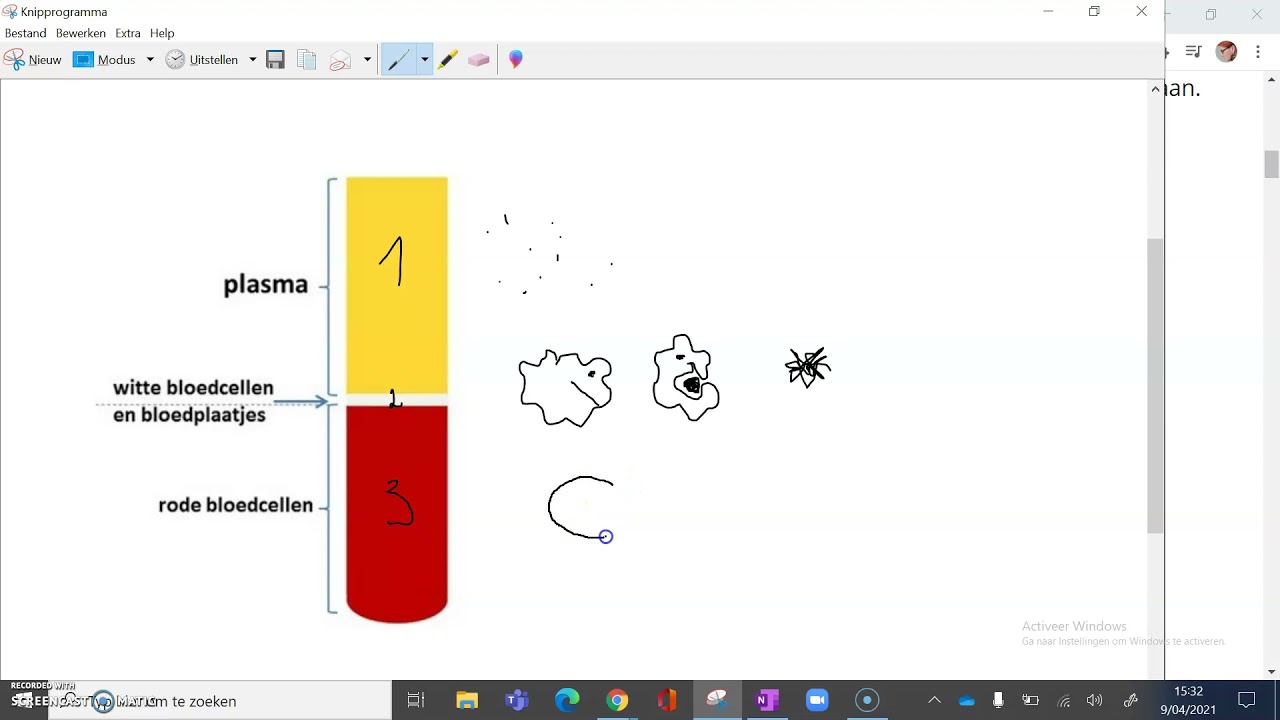 Samenstelling Vh Bloed - YouTube