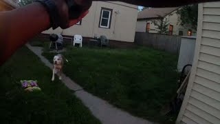 Graphic body cam footage of police officer shooting 2 dogs