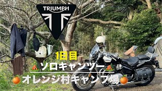 ㊗️初ソロキャンツー🏍️オレンジ村キャンプ場🍊#automobile ツーリング #triumph #キャンプ