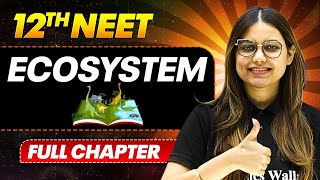 Ecosystem FULL CHAPTER | Class 12th BOTANY | PhysicsWallah