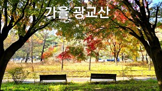 늦가을 광교산