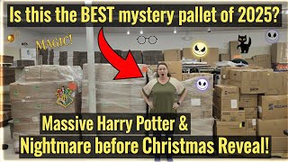 Is this the BEST mystery pallet of 2025? Massive Harry Potter & Nightmare before Christmas Reveal!