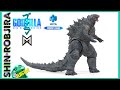 Hiya Toys Exquisite Basic: Godzilla (2019) | Figure Review