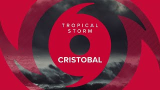 Tropical Storm Cristobal makes landfall - live coverage