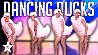 Dancing DUCK Audition On Italy's Got Talent 2019! | Got Talent Global