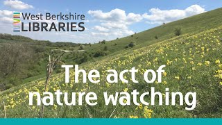 The act of nature watching: online talk