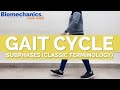 VISUAL DEMONSTRATION (Gait cycle subphases-Classic terminology) - Biomechanics made simple