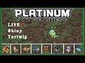 [Live] Shiny Turtwig in Platinum after 24 SRs [PBQ]