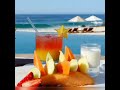 ＦＵＮ ＩＮ  ＴＨＥ  ＳＵＮ/ＮＥＩＬ  ＲＩＣＨＡＲＤＳＯＮ