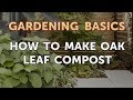 How to Make Oak Leaf Compost