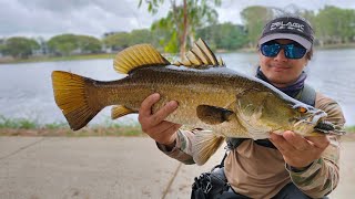 INSANE BARRA FISHING Townsville 2022