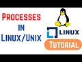 Processes in Linux/Unix