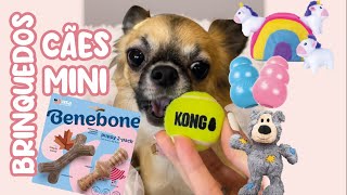 OS 7 MELHORES PRODUTOS PARA CÃES MINI! | CHIHUAHUA, SPITZ, YORK | LEVES E PEQUENOS