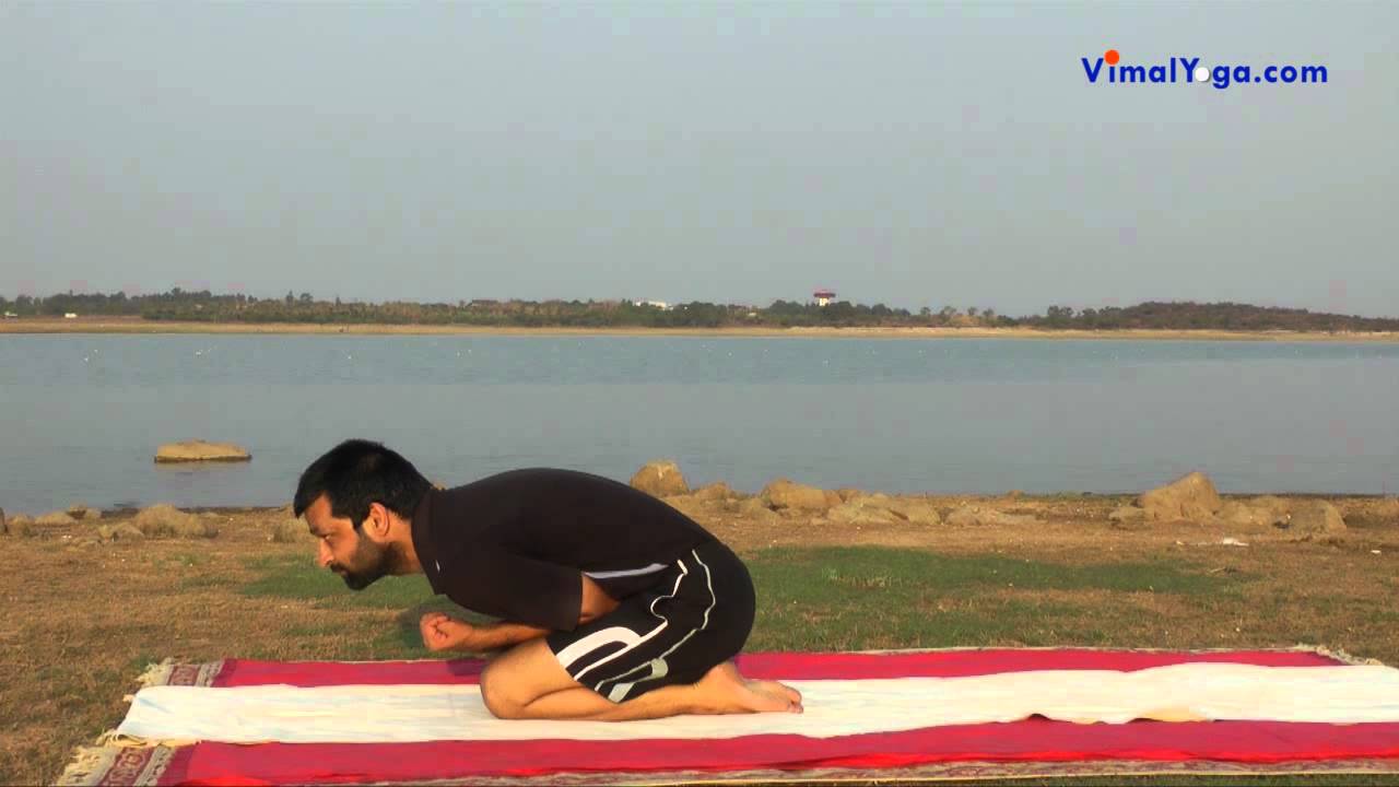 Kurmasana Youtube