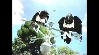 Windex Talking Crows Commercial 1999