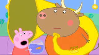 Goldie The Fish's Big Day Out 🚎 | Peppa Pig Official Full Episodes