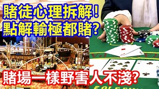 賭徒心理拆解！點解輸極都賭 ? 賭場一樣野害人不淺 ?