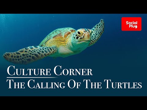 What is the legend behind Turtle calling?