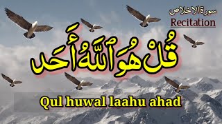🔥112.Surah Al Ikhlas Beautiful Recitation (The Sincerity) Qul Hu Allah Hu Ahad