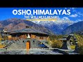 OSHO Himalayas Wellness Resort | Jia | Himachal Pradesh | India