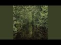 Soft Collapse