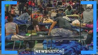 Only Congress can fix border crisis, not Biden: Immigration attorney | NewsNation Live