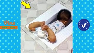 Funny & Hilarious  People's Happy Life #30 😂 Try Not To Laugh Funny s 2024