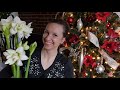 Garden Inspired Christmas Decor & Amaryllis Tour!!! Northlawn Flower Farm